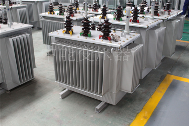 汕尾S22-250KVA/10KV变压器